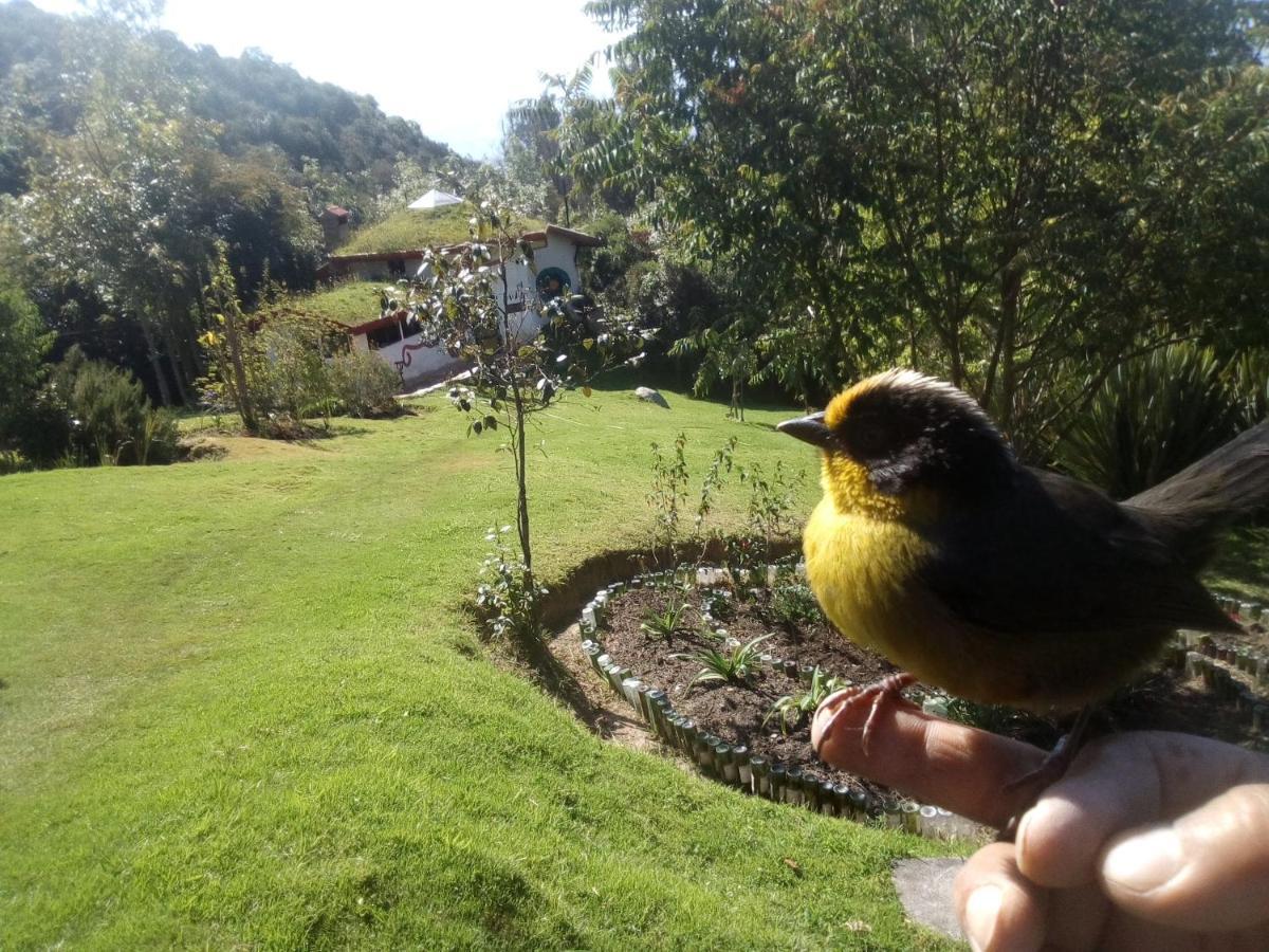Вилла Jardin Colibri Rnt 33633 Гуатавита Экстерьер фото