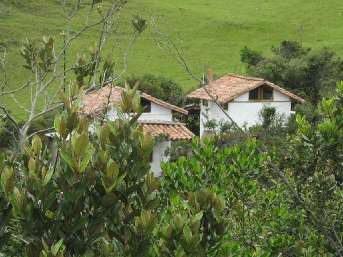 Вилла Jardin Colibri Rnt 33633 Гуатавита Экстерьер фото